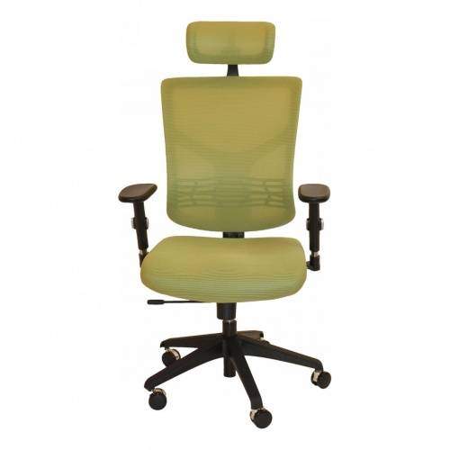 Ортопедическое кресло Expert Star Euro Зелёное